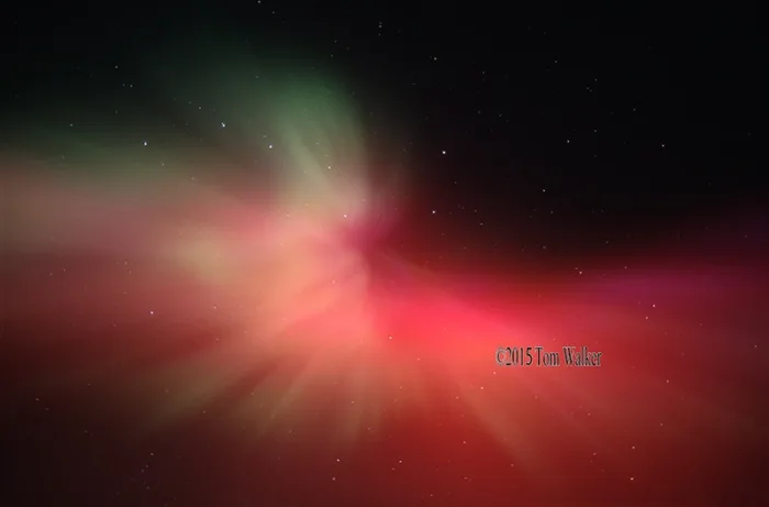 Aurora Borealis Corona