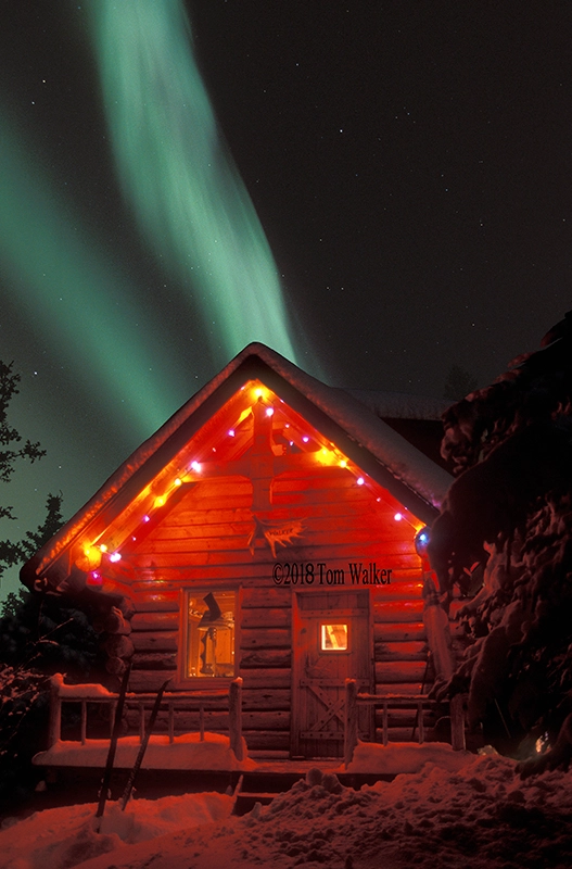 Northern Lights Log Cabin