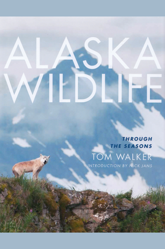 Alaska Wildlife Through the Seasons