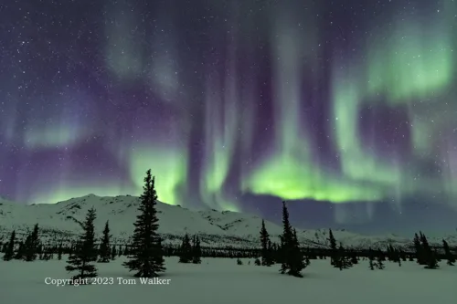 Aurora Alaska Range