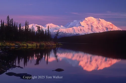 Denali Wonder Lake