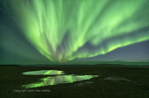 Aurora Ponds Alaska