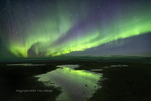 Aurora Tundra Pond