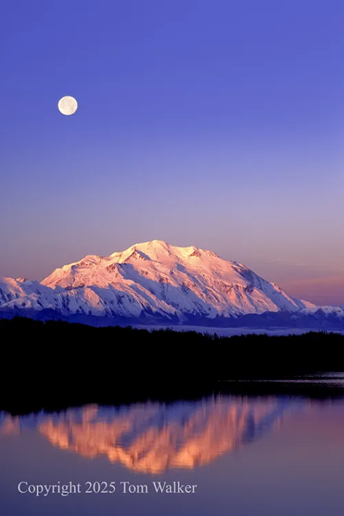 Denali Sunset Moon