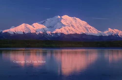 Denali Sunset Alaska