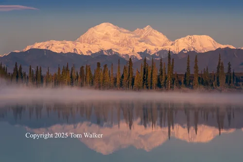 Denali Broad Pass