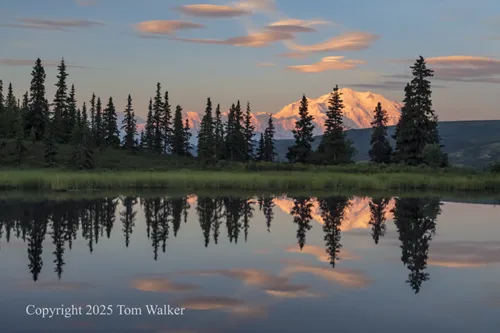 Denali Nugget Pond