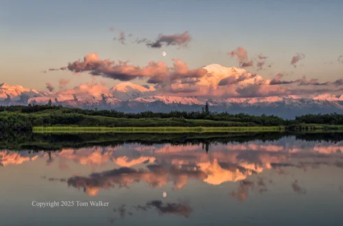 Denali Reflection Pond