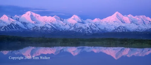 Alaska Range Dawn