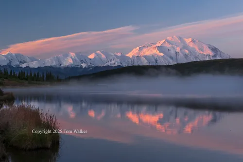 Mount Denali Morning