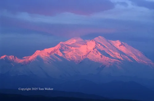 Mount Denali Dawn