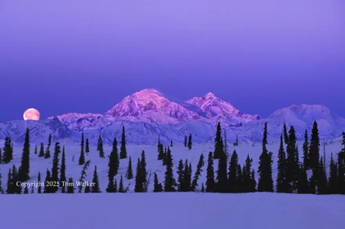 Mount Denali Moonset