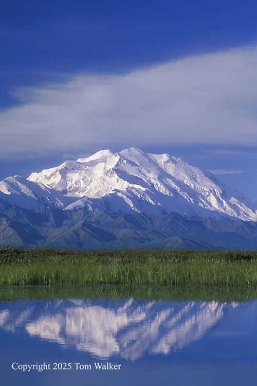 Mount Denali Summer