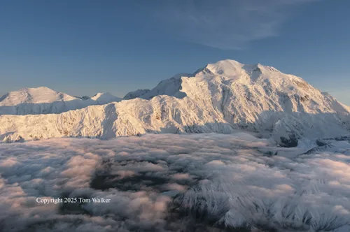 Denali Pioneer Ridge