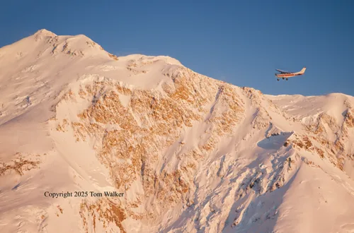 Denali Aerial