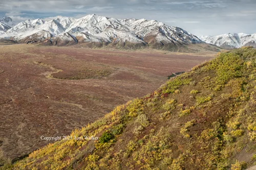 Polychrome Pass Late Autumn