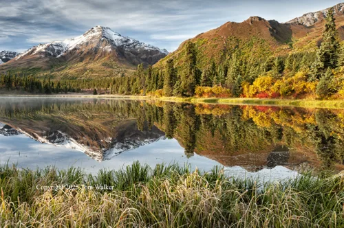 Cathedral Mountain