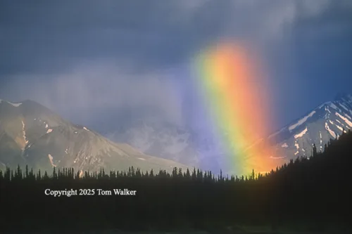 Rainbow Nenana