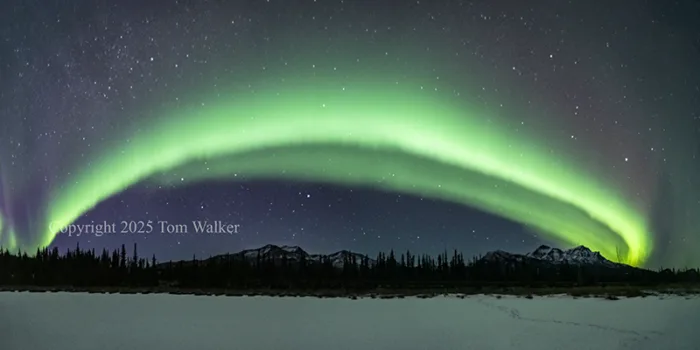 Aurora Panoramic 4714